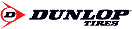 dunlop -100